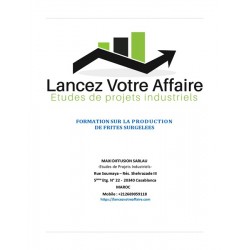 CREEZ UNE GRANDE UNITE DE PRODUCTION DE FRITES SURGELEES AUTOMATIQUE D'UNE CAPACITE DE 1000 KG/HEURE