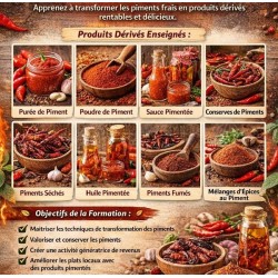 MONTEZ VOTRE BUSINESS DE TRANSFORMATION DU PIMENT